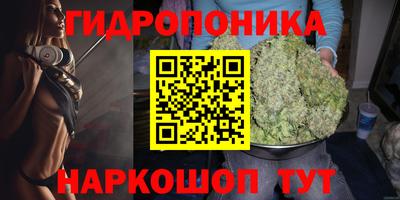мяу мяу мука Кинель